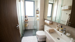 Seventy Saint Patrick's (D15), Condominium #559721871